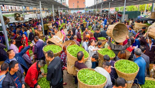 合肥哪里有好的茶葉批發(fā)市場？